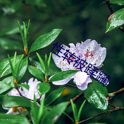 性(性)转被蹂躏(躏)