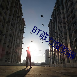 BT磁力搜索(索)器