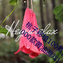 桃子移植100款黄油游戏手游(桃子移植的1000款黄油游戏) （插座）