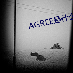 AGREE是什么意思