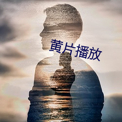 黄片播放(放)