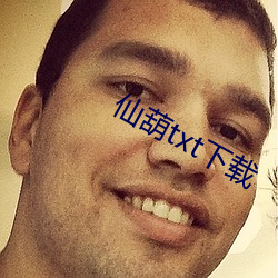 仙葫txt下载