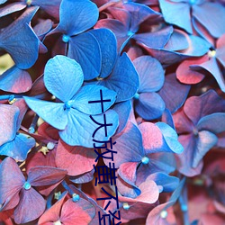 十(十)大放黄不登录(錄)不收(收)费