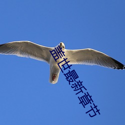 盖世最新章节