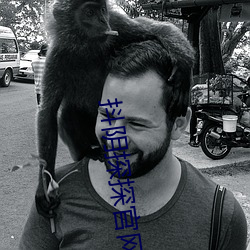 抖阴探探官网