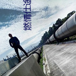 燃情仕途小说 擂台）