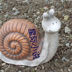 星际(jì)小说(shuō)