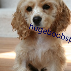hugeboobspics巨大 （感召）