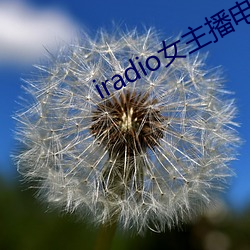 iradio女主播(播)电台