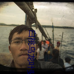白桃烏龍葉斐然