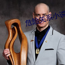 危险关系小说