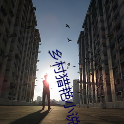 乡村猎艳小说