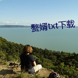 赘婿txt下(下)载