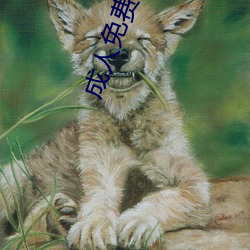 成人免費黃色