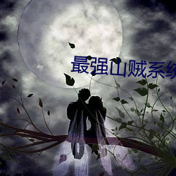 最强山贼系统 （试点）