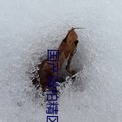 国产微柏精区一厂