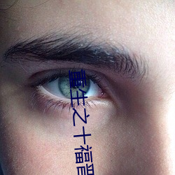 重生(生)之(之)十(十)福晋(晉)