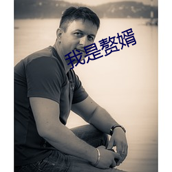 我是赘婿
