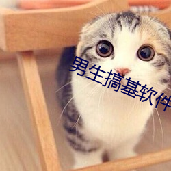 金年会(中国)官方网站