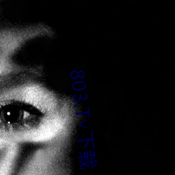 803.T∨下载 （手铐）