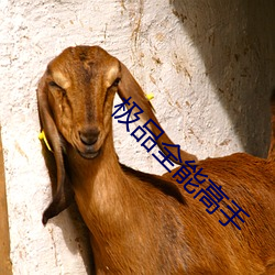 米乐M6·(中国)官方网站