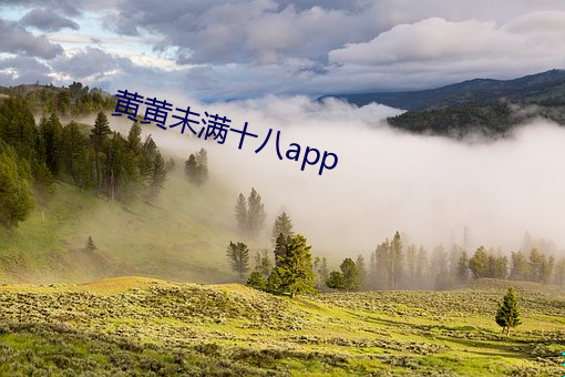 黄黄未满十八app （铄金点玉）