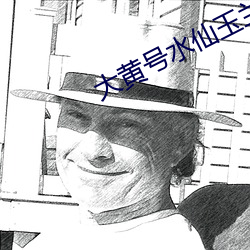 大黄(huáng)号水仙玉兰东京干(gàn)