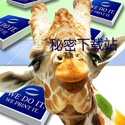 秘密下載站