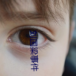 刘(liú)国梁事件