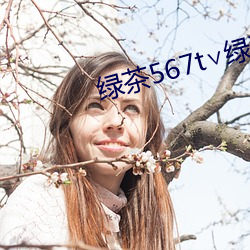 绿茶567t∨绿茶
