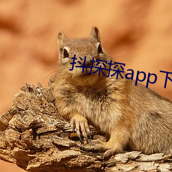 抖探探app下載