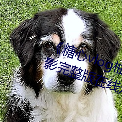《糖心vlog柚子(子)猫内射频网站(站)》影戏完(完)整版(版)在线观(觀)看(看)