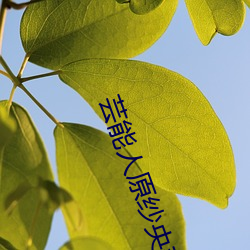 尊龙凯时人生就是搏(中国区)官方网站