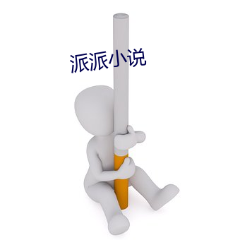 派(派)派小(小)说