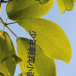 918博天堂·(中国)手机版客户端
