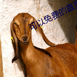 可以免费的直播app （说时迟，那时快）