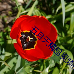 AG真人平台(中国)官方网站