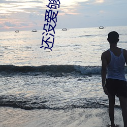 还没爱够电(電)视剧免费观(觀)看(看)全