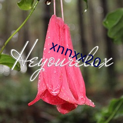 xnnxx20