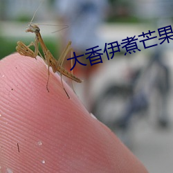 大香伊煮芒果2020