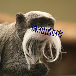 诛仙前传 （遮天迷地）
