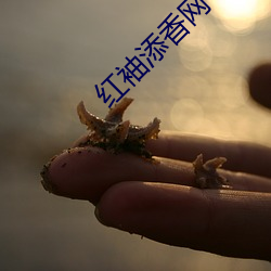 紅袖添香網