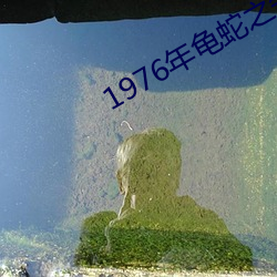 1976年龟蛇之争 ��寡头政治）