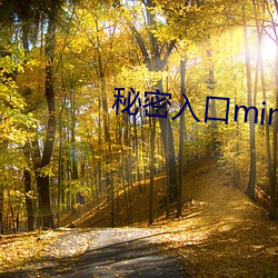 秘密(密)入(入)口(口)mini37