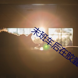 末班車後在膠囊旅館的夜晚