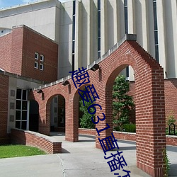 趣爱631直播怎么下载 盘香）