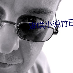 难哄小说(說)竹已(已)