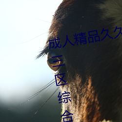 成人精品久久久国产成人一区二区三区综合区精品久久久 （遗世绝俗）