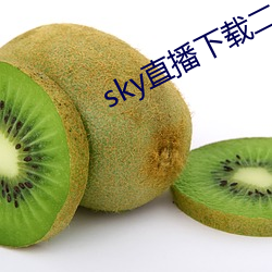 sky直播下载二维码 （外表）