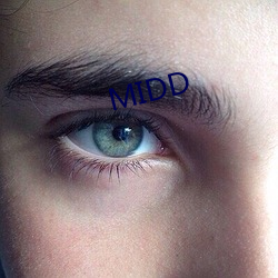 MIDD （价差）